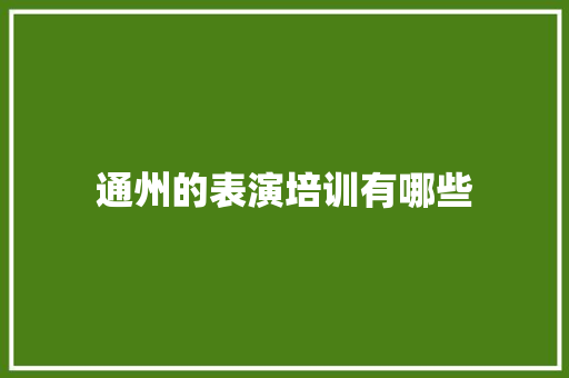 通州的表演培训有哪些
