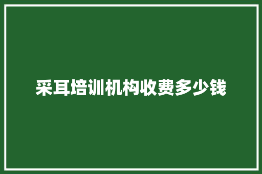 采耳培训机构收费多少钱