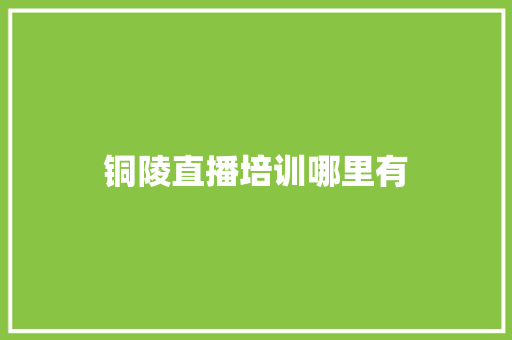 铜陵直播培训哪里有
