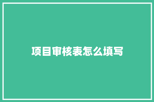 项目审核表怎么填写
