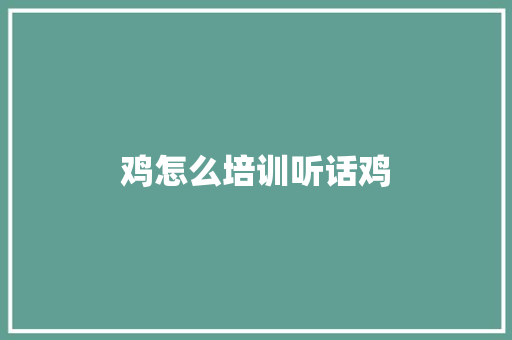鸡怎么培训听话鸡