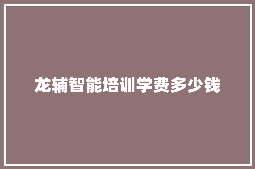 龙辅智能培训学费多少钱