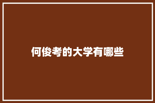 何俊考的大学有哪些