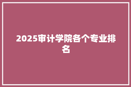 2025审计学院各个专业排名