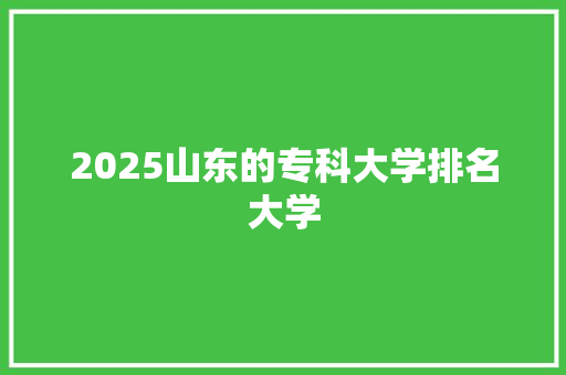 2025山东的专科大学排名大学