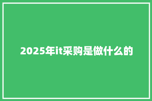 2025年it采购是做什么的