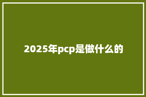 2025年pcp是做什么的