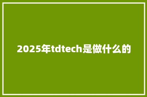 2025年tdtech是做什么的
