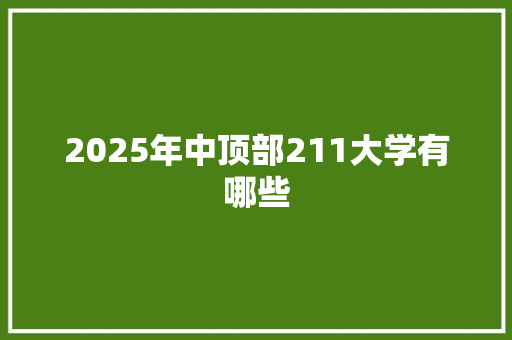 2025年中顶部211大学有哪些