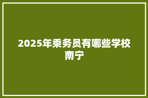2025年乘务员有哪些学校南宁