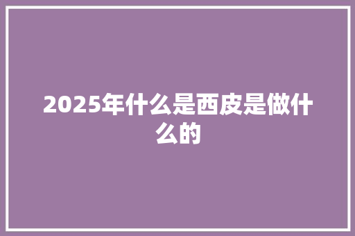 2025年什么是西皮是做什么的