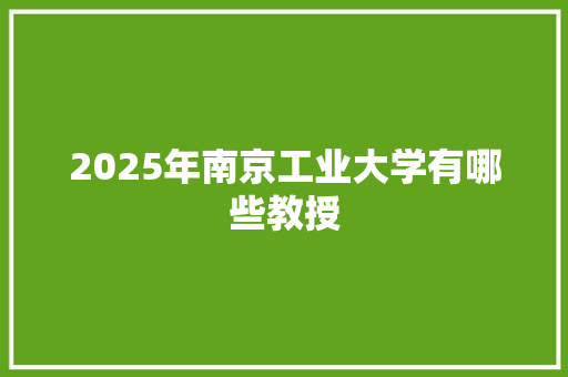 2025年南京工业大学有哪些教授
