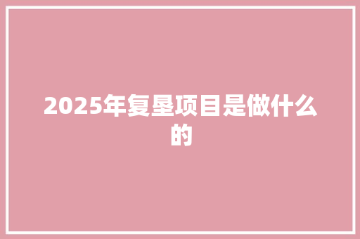 2025年复垦项目是做什么的