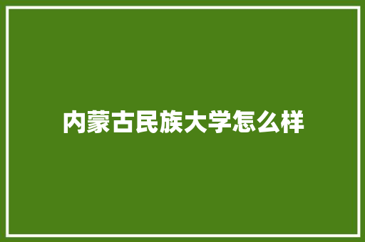 内蒙古民族大学怎么样