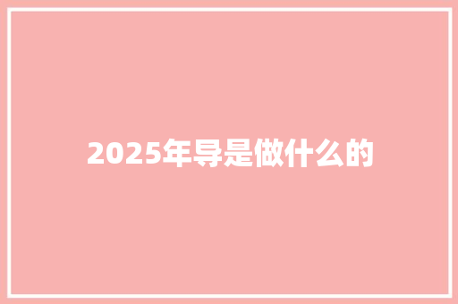 2025年导是做什么的