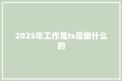 2025年工作是ts是做什么的