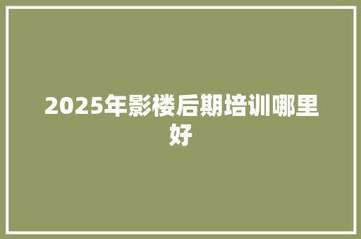 2025年影楼后期培训哪里好