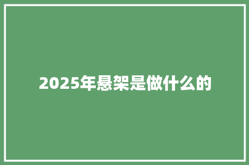 2025年悬架是做什么的
