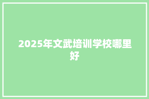 2025年文武培训学校哪里好