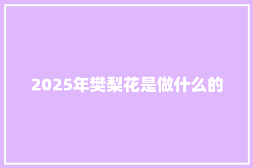 2025年樊梨花是做什么的