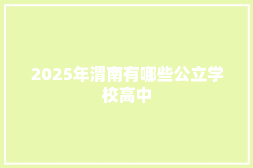 2025年渭南有哪些公立学校高中
