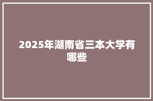2025年湖南省三本大学有哪些