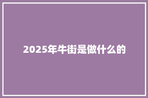 2025年牛街是做什么的