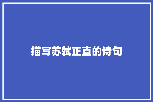 描写苏轼正直的诗句
