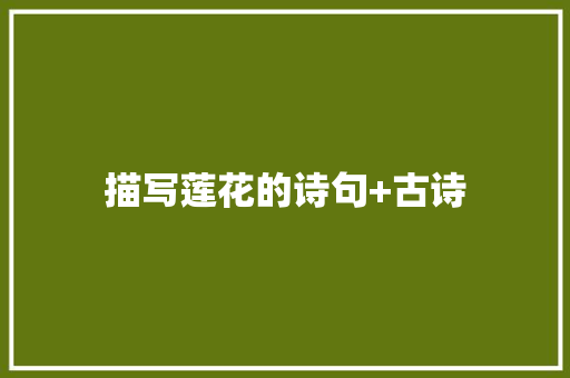 描写莲花的诗句+古诗