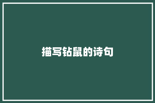 描写钻鼠的诗句