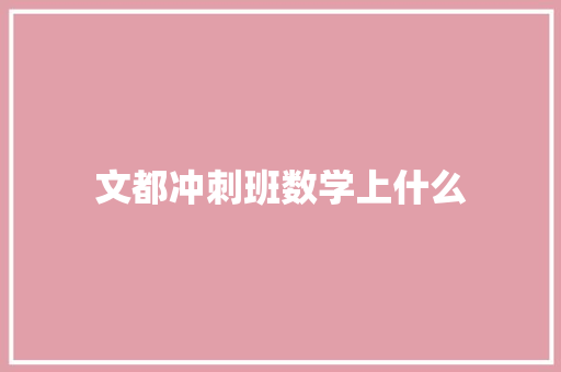 文都冲刺班数学上什么