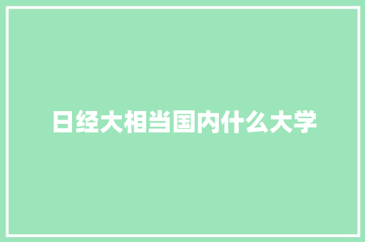 日经大相当国内什么大学