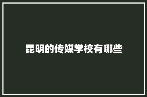 昆明的传媒学校有哪些