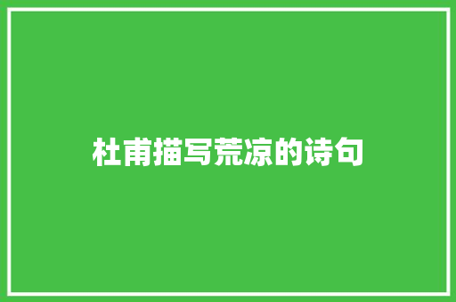杜甫描写荒凉的诗句