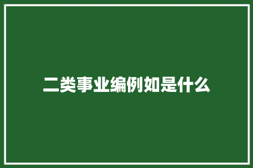 二类事业编例如是什么