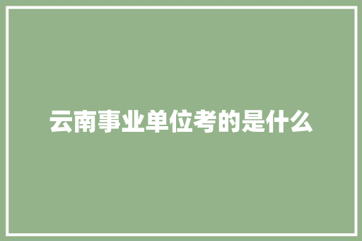云南事业单位考的是什么