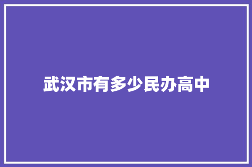 武汉市有多少民办高中