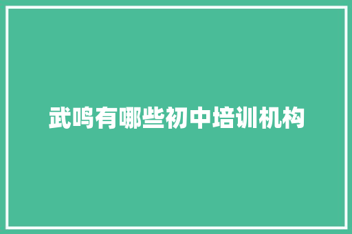 武鸣有哪些初中培训机构