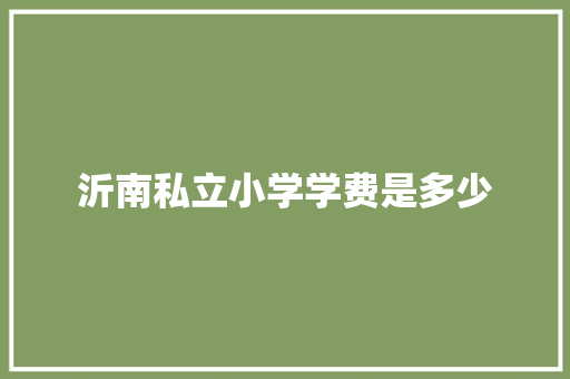 沂南私立小学学费是多少
