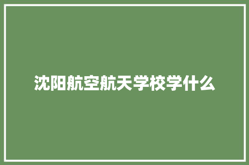 沈阳航空航天学校学什么