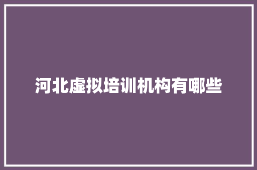 河北虚拟培训机构有哪些