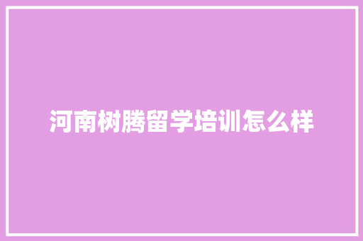 河南树腾留学培训怎么样