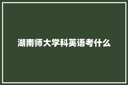 湖南师大学科英语考什么
