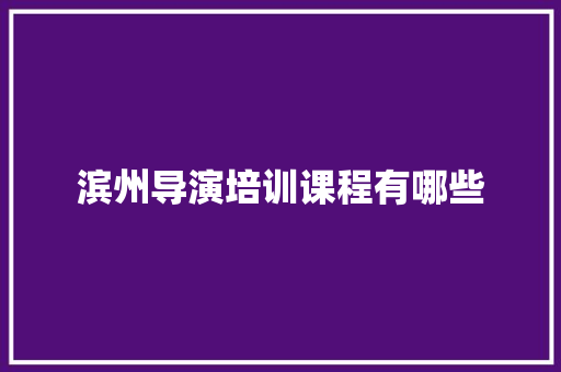 滨州导演培训课程有哪些