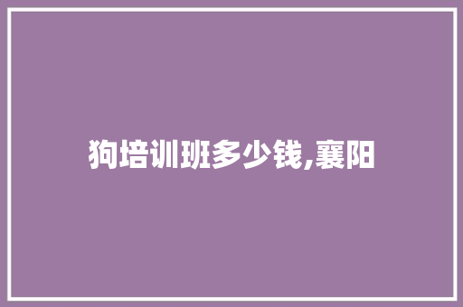 狗培训班多少钱,襄阳