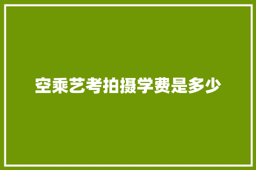 空乘艺考拍摄学费是多少