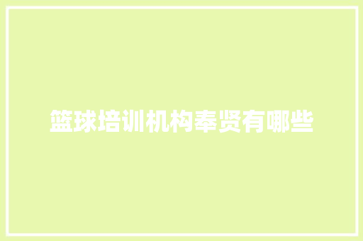 篮球培训机构奉贤有哪些