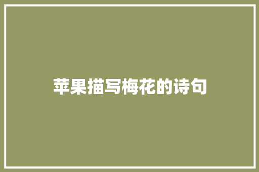 苹果描写梅花的诗句