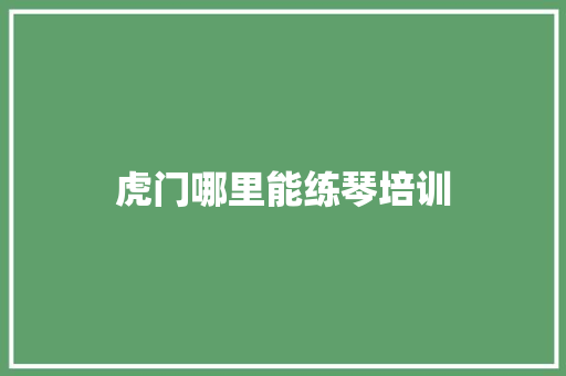 虎门哪里能练琴培训