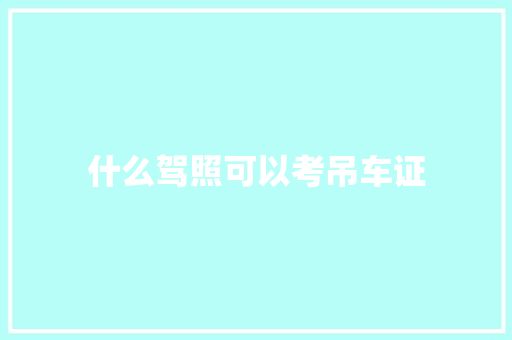 什么驾照可以考吊车证